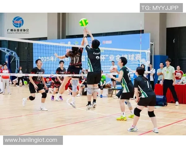 广州排球队个人能力深度剖析与发展潜力探讨